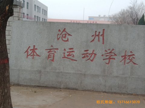 河北滄州體育學(xué)?；@球館體育地板施工
